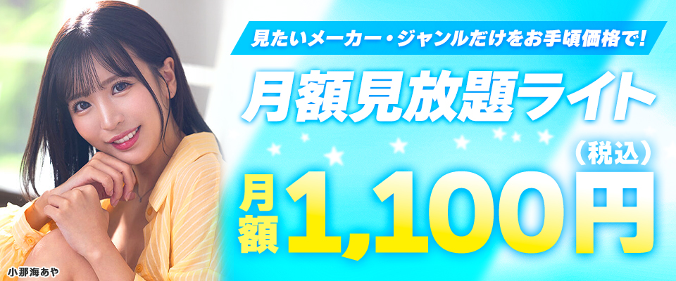 月額ライトプラン